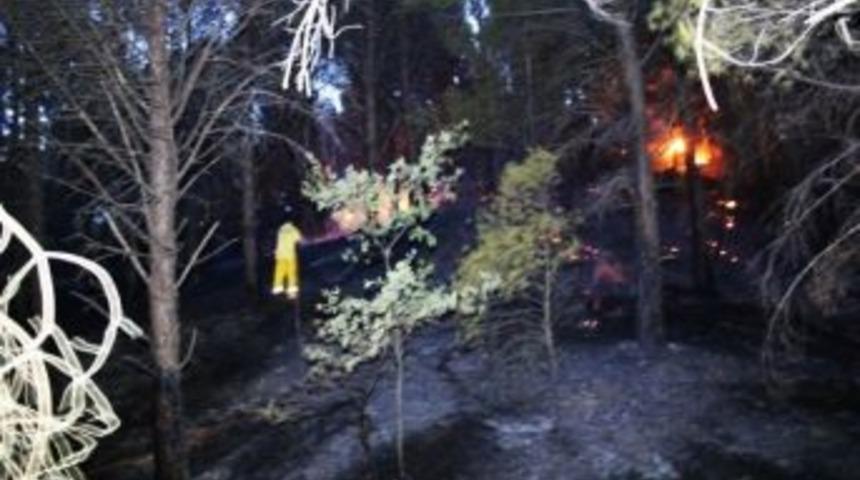 Edremit&rsquo;te Dere Yatağında Orman Yangını &Ccedil;ıktı