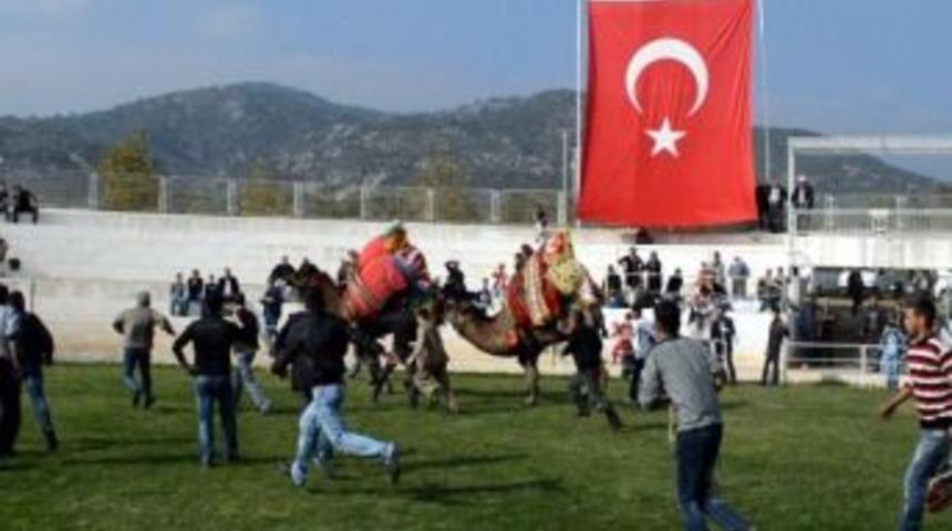 Edremit&rsquo;te Develer Ka&ccedil;tı, Sahipleri Kovaladı