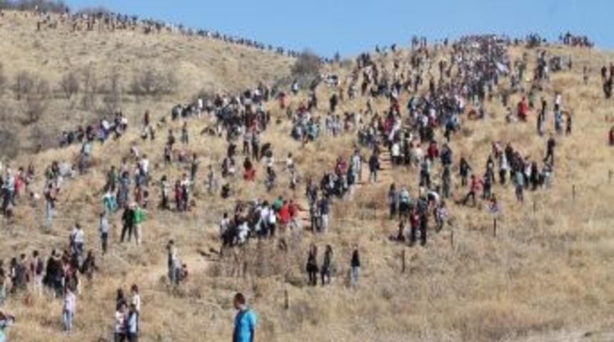 Odt&uuml;den Ağa&ccedil; Dikme Şenliği