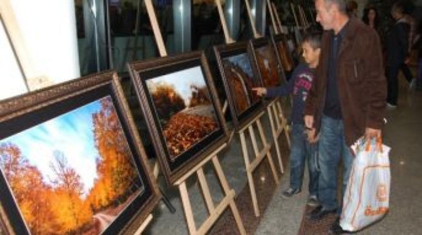 Kartepe'nin G&uuml;z Fotoğrafları &Ouml;zdilek'te Sergileniyor