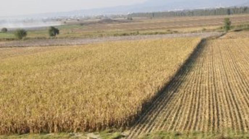 (&ouml;zel Haber) Atat&uuml;rk&rsquo;&uuml;n 'kurutun' Emriyle Gelen Bereket