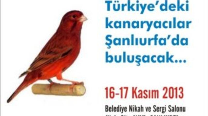Kafes Kuşları Şanlıurfa&rsquo;da Yarışacak