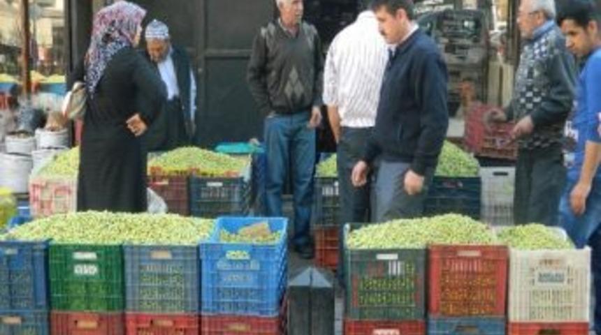 Kışlık Yeşil Zeytin Tezgahtaki Yerini Aldı