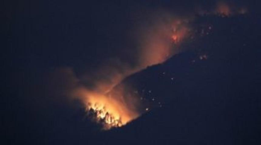 Uludağ'da 20 Hektarlık Alan K&uuml;l Oldu