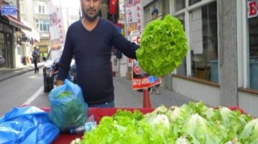 Seracılık Projesi Meyvelerini Vermeye Başladı