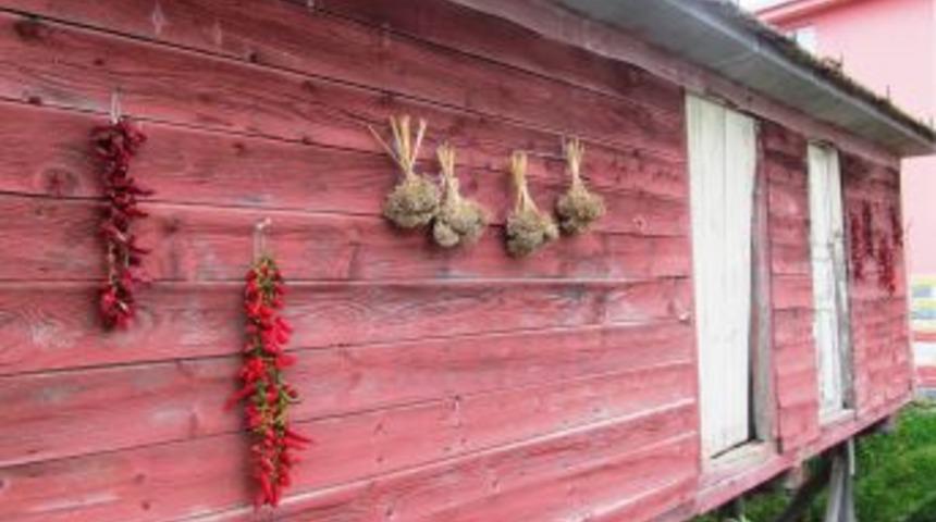 Karadeniz&rsquo;in Doğal Kileri &lsquo;Serender&rsquo;
