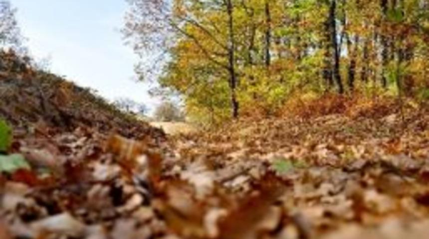 Yıldız Dağları&rsquo;nda 'sonbahar H&uuml;zn&uuml;'