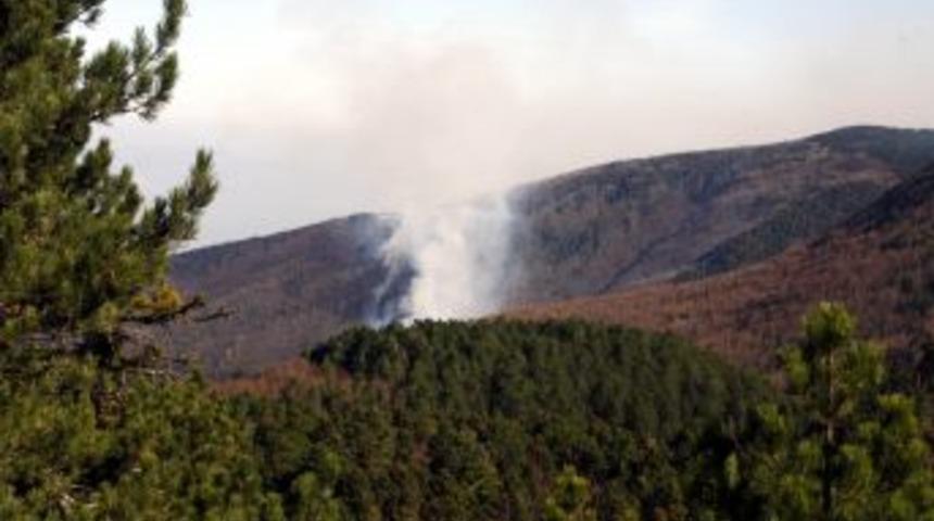 Uludağ&rsquo;da Yangın &Ccedil;ıktı, 30 Hektar Ormanlık Alan Zarar G&ouml;rd&uuml;
