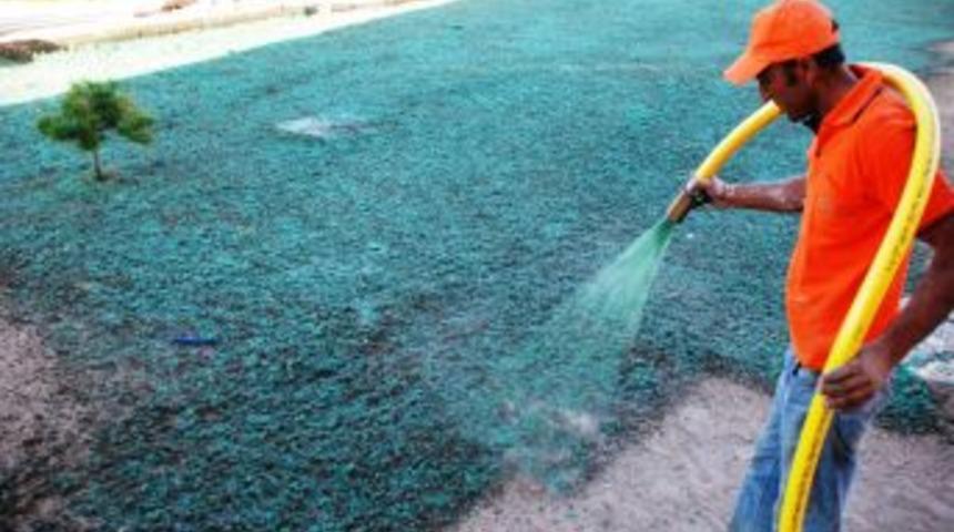 P&uuml;sk&uuml;rtmeli Ve Yapıştırmalı &Ccedil;im Ekimi Yapılıyor