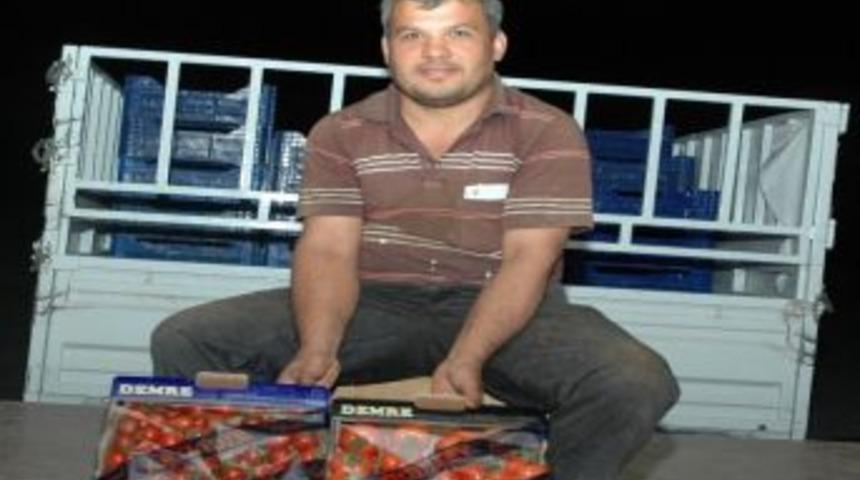 B&uuml;y&uuml;kşehirler Bir Ay Daha Pahalı Domates Yiyecek