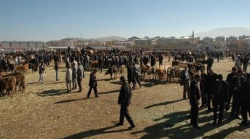 Hayvan Pazarlarındaki Hareketlilik Kurban Bayramını Aratmadı