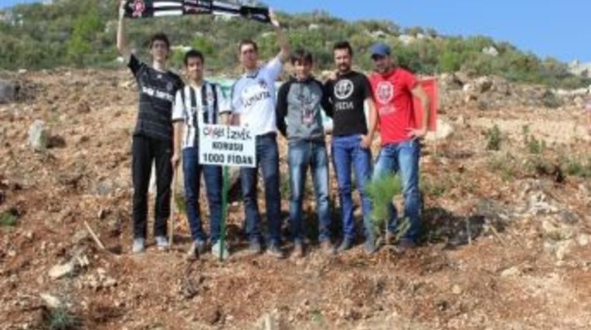 &Ccedil;arşı İzmir Grubu, Ege Orman Vakfı İle Elele