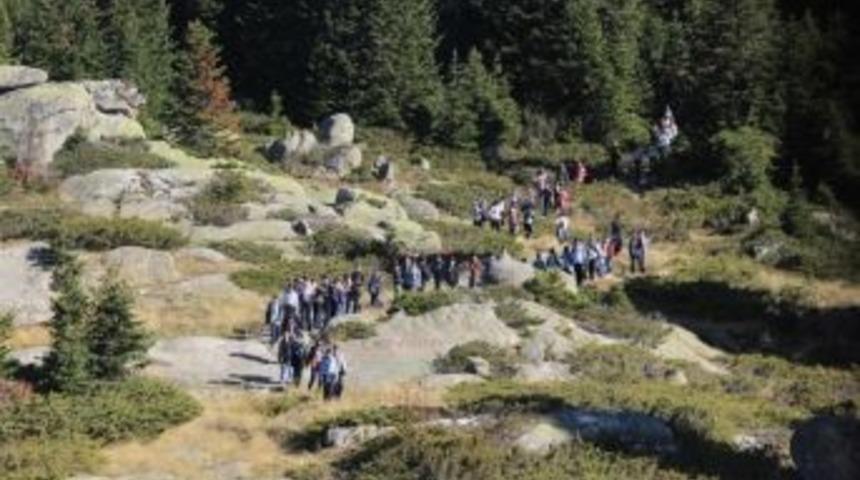 Yavru Kurtlar Uludağ'da