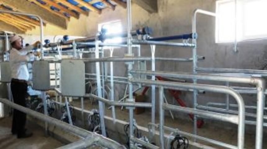 DAKA'dan Aldığı Hibe Ile İran-Irak Sınırında Modern Hayvancılık Yapılıyor