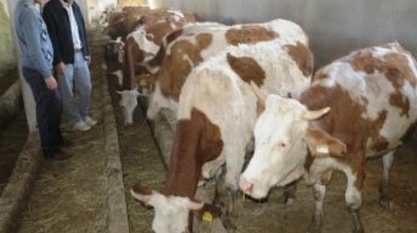 Daka’da Başarı Öyküleri