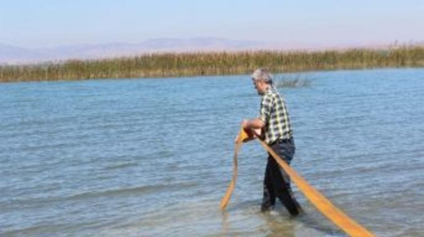 Soğuk Sular Beyşehir G&ouml;l&uuml;&rsquo;n&uuml;n Balıklarını Tehdit Ediyor