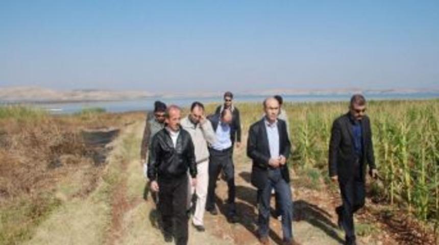 Ağa&ccedil;landırma &Ccedil;alışmalarında Sona Gelindi