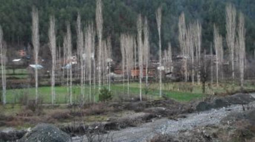 Vezirk&ouml;pr&uuml;&rsquo;n&uuml;n 3 K&ouml;y&uuml; Durağan'a Bağlanmak İstiyor