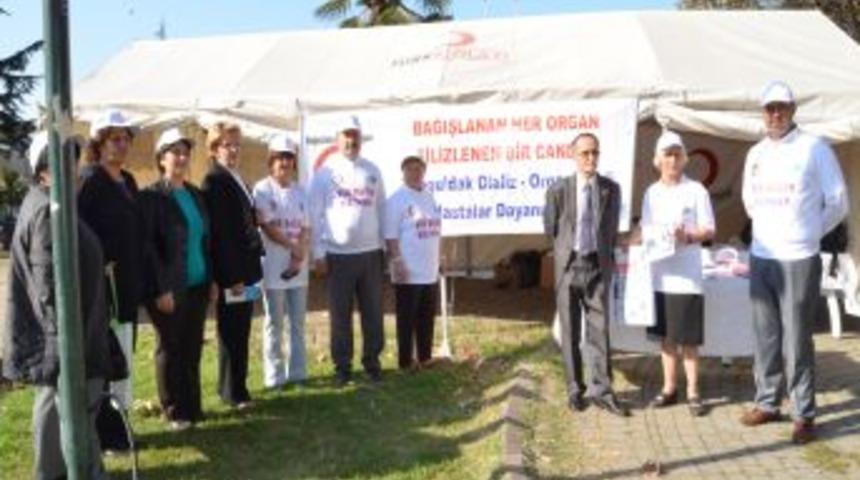 Toplumu Organ Bağışında Bilin&ccedil;lendirmek I&ccedil;in Stant A&ccedil;tılar