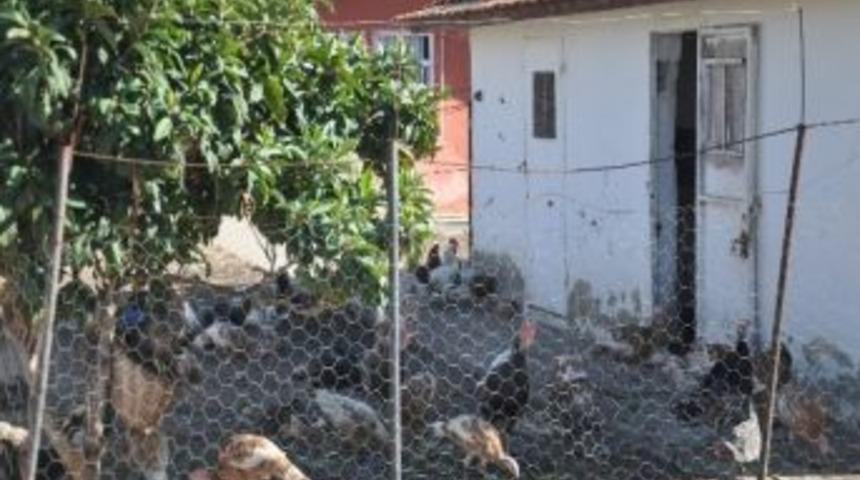 Torbalı'da Sağlık Ocağı Lojmanı'ndaki K&uuml;mes Olay Oldu