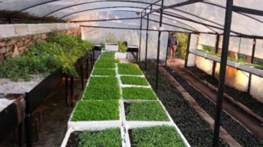 Bodrum Kış Aylarında Rengarenk Olacak