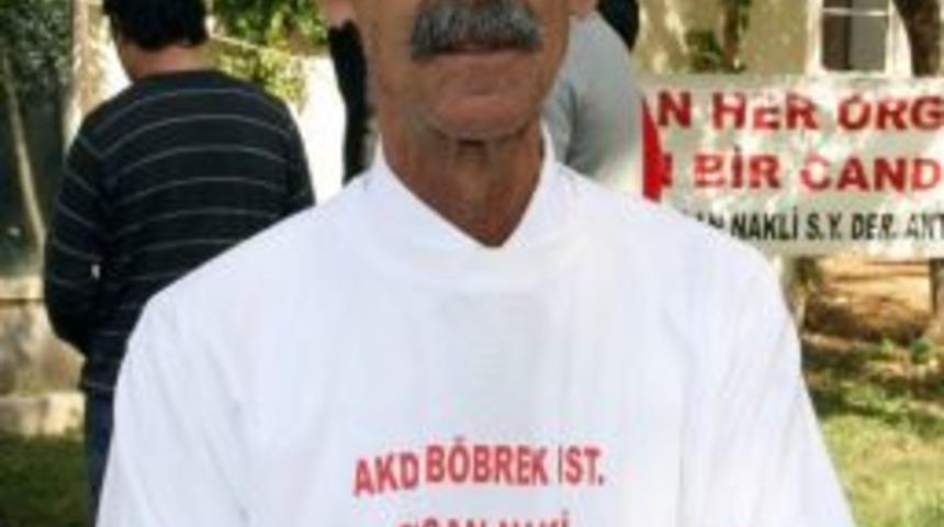 Yetmiş Beş Bin B&ouml;brek Hastası Var