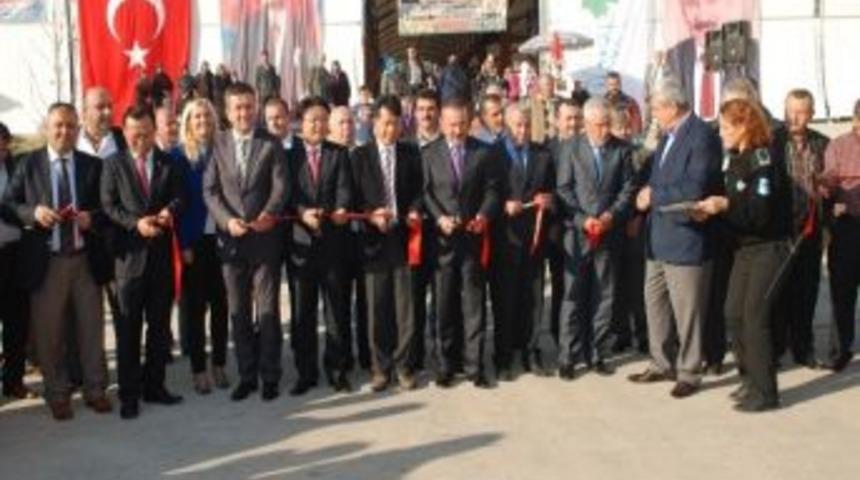 Kuru&ccedil;eşme Kapalı Pazarı G&uuml;neş Korelilerle Birlikte A&ccedil;ıldı