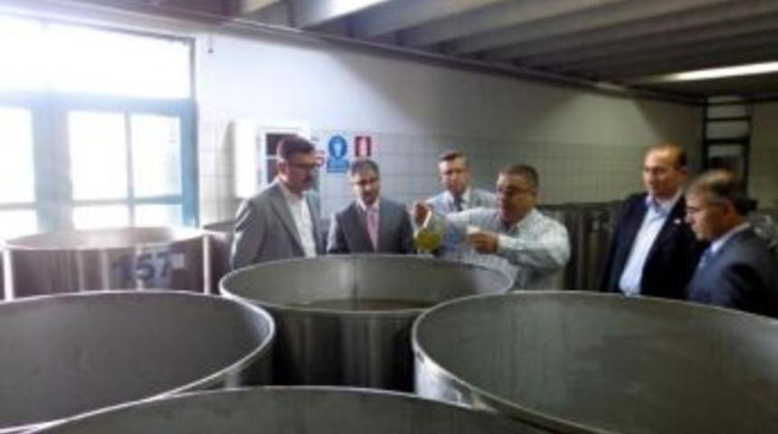 Vali Turhan: "zeytinyağı T&uuml;ketimini Y&uuml;kseltmemiz Lazım"