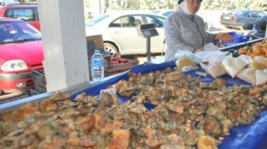 Aydın&rsquo;da &Ccedil;ıntar Sezonu Başladı