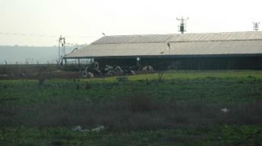 (&ouml;zel Haber) 'g&uuml;ndeş' Yoğurt Ve S&uuml;tleri Geliyor