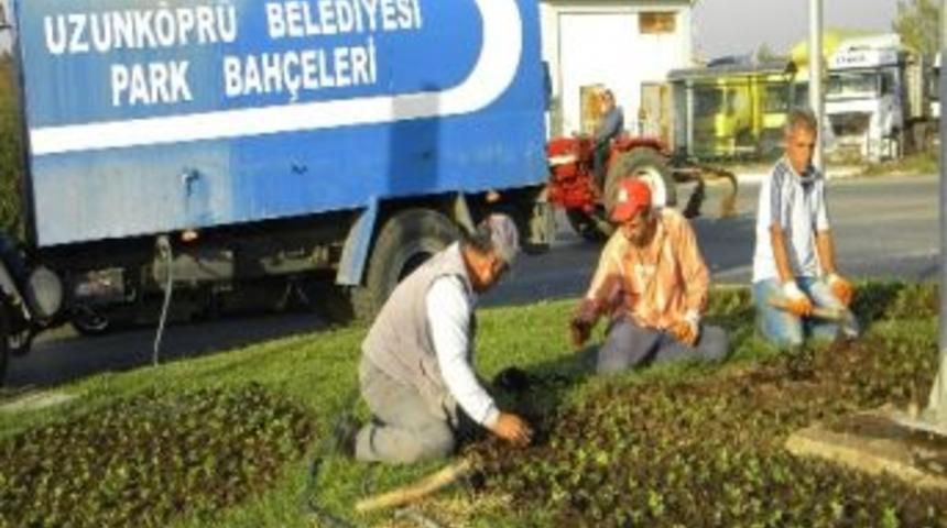 200 Bin Adet &Ccedil;i&ccedil;ek Dikilecek