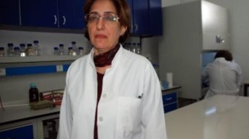 (&ouml;zel Haber) Eşek S&uuml;t&uuml; T&uuml;m&ouml;r Oluşumunu &Ouml;nleyici &Ouml;zellik Taşıyor
