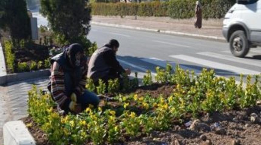 Bilecik Belediyesi'nden &Ccedil;i&ccedil;eklendirme &Ccedil;alışmaları