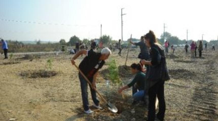 Seferihisar'da Can Y&uuml;cel Ormanı&rsquo;na 170 Yeni Fidan Dikildi
