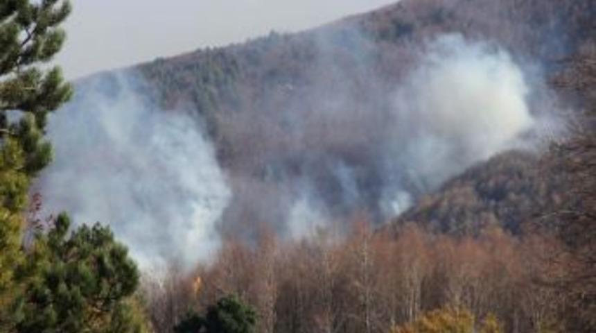 Uludağ'daki Orman Yangını S&ouml;nd&uuml;r&uuml;lemiyor...(&ouml;zel Haber)