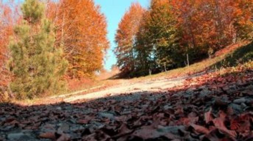 Zonguldak&rsquo;ta Sonbahar