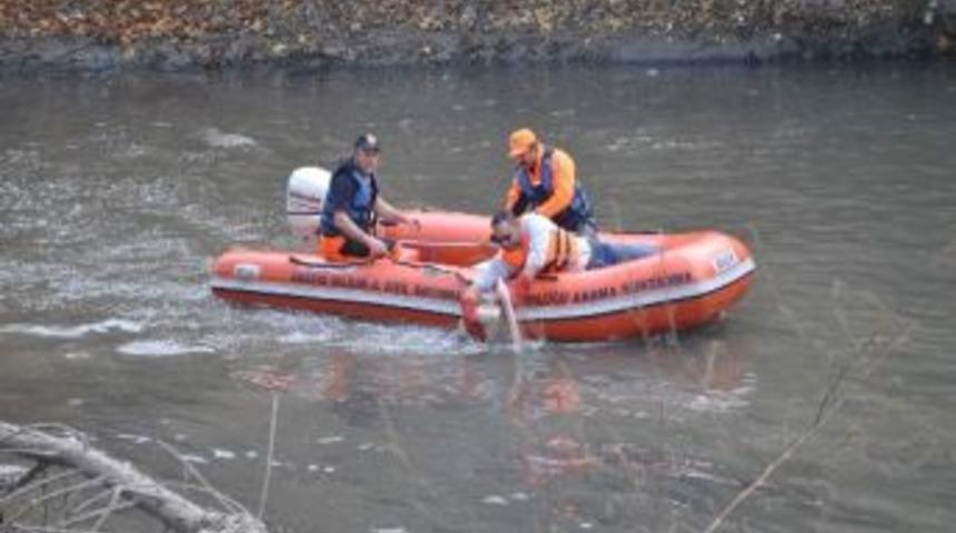 Yaralı Pelikan Kurtarıldı