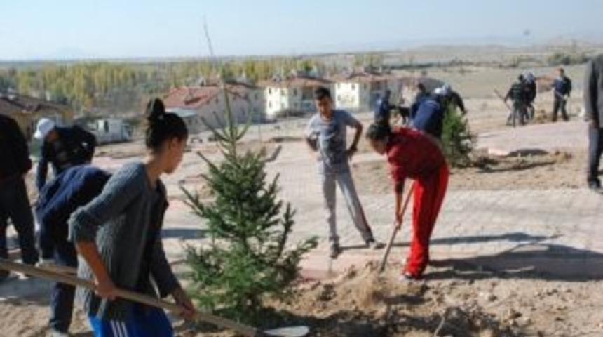 Sonbahar Fidan Dikim &Ccedil;alışmaları &Ouml;ğrencilerin Katılımıyla Devam Ediyor