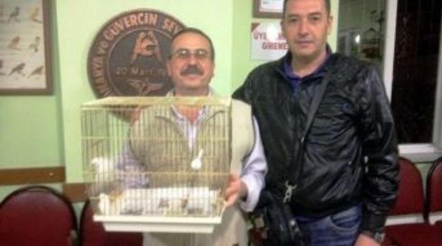 Edremit&rsquo;te Kanarya Ve G&uuml;vercin Mezatları Başladı