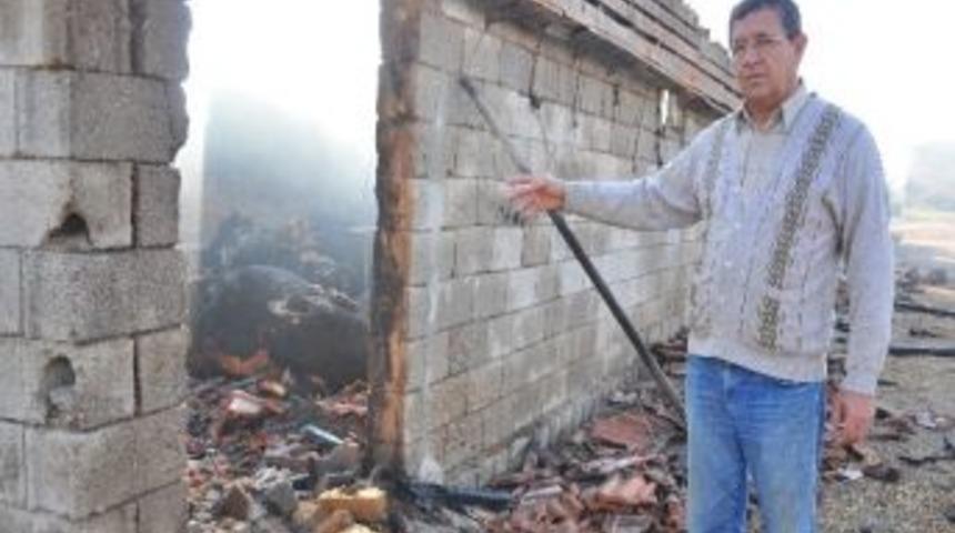 14 B&uuml;y&uuml;kbaş Hayvan Yangında Telef Oldu