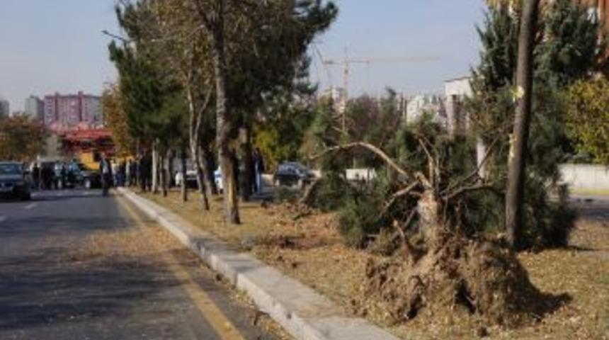 Freni Patlayan Vin&ccedil; Ortalığı Savaş Alanına &Ccedil;evirdi