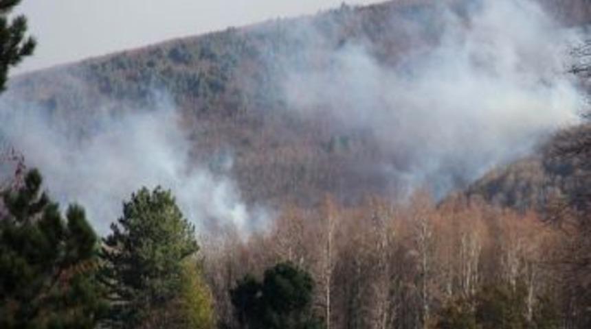 Uludağ'da Yangın 150 Hektarlık Alanı Kül Etti