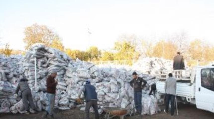 Ahlat&rsquo;ta K&ouml;m&uuml;r Dağıtımı Başladı