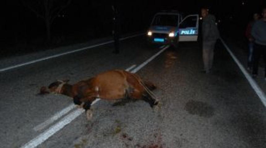 İki Ayrı Kazada 2 Kişi Yaralandı