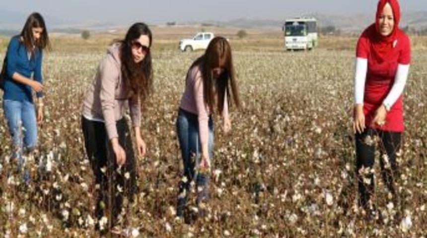 M&uuml;hendis Adayları Tarlaya Indi