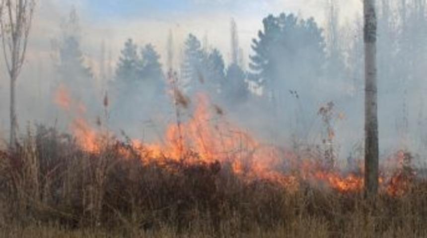 Ot Yangını Bah&ccedil;edeki Ağa&ccedil;ları Yaktı
