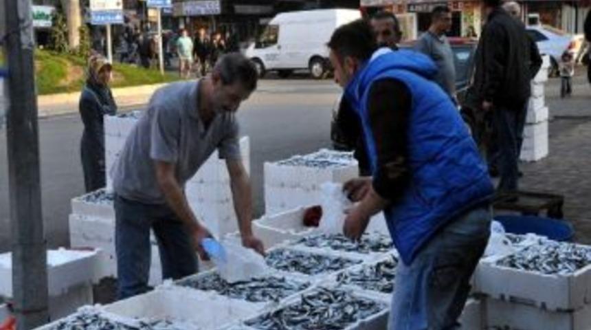 Canlı M&uuml;zik Eşliğinde Balık Sattılar