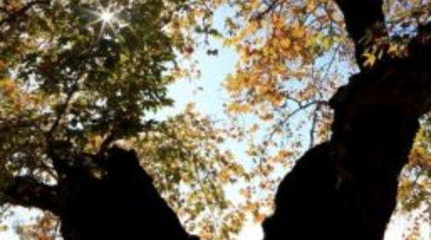 Milas&rsquo;ta Kartpostallık Sonbahar Manzaraları