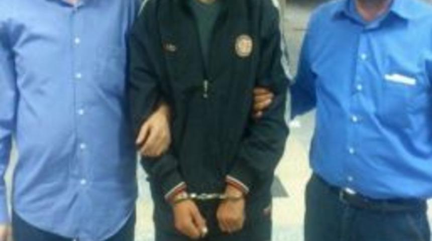 Oyuncak Hırsızları Tutuklandı