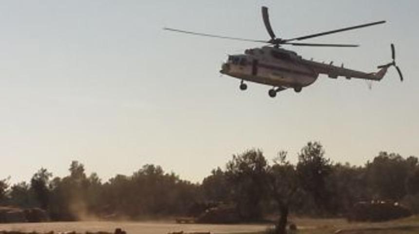 Hızlı M&uuml;dahaleler Ormanları Korudu